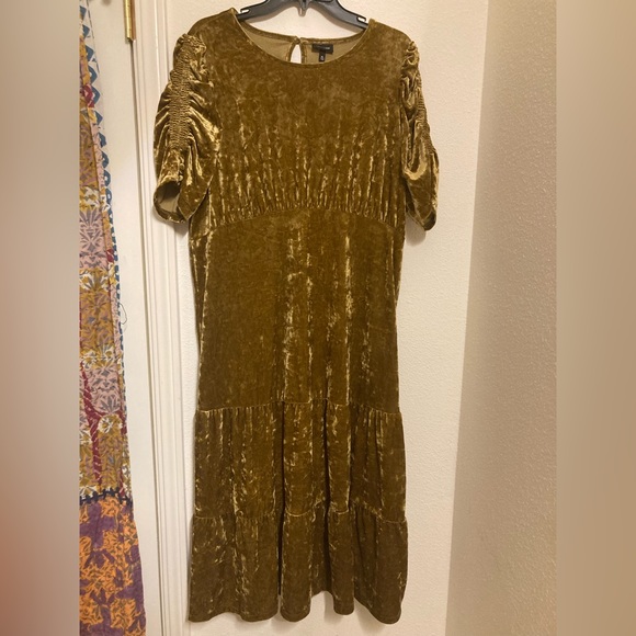 Who What Wear Dresses & Skirts - Dark Mustard Velvety Maxi Dress